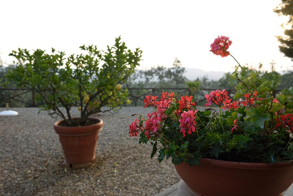 Agriturismo La Casuccia Castelfranco di Sopra Luaran gambar